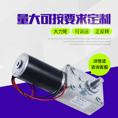 4058GW31ZY涡轮蜗杆减速电机12V24V机器人微型直流大扭矩减速马达