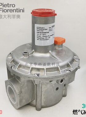 菲奥燃气减压阀FMF30164 0007AB 30165 30061 301620005ADZ 30163