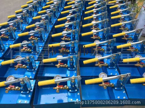 铜泵改良加厚款打压机40KG油表试压泵手动PPR水管 管道测试,鲜花速递/花卉仿真/绿植园艺,其它园艺用品,淘宝优惠券,粉丝福利购,淘宝优惠卷
