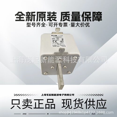 巴斯曼熔断器170M6081/6810D