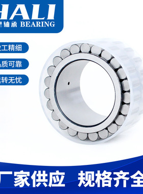 RSL182220A轴承 减速机轴承 无外圈满装圆柱滚子轴承