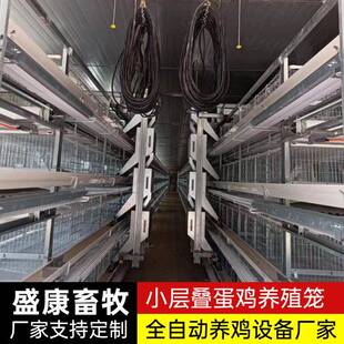 层叠式蛋鸡笼多层立梯式禽类养殖自动化蛋鸡笼自动上料捡蛋鸡笼