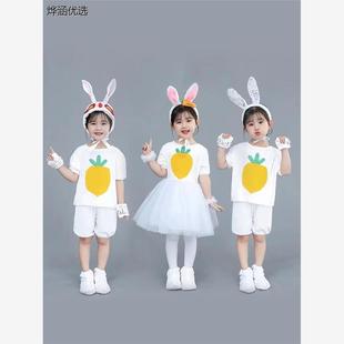 儿童小演出服大灰狼小白兔动物表演服装幼儿演出舞蹈纱裙