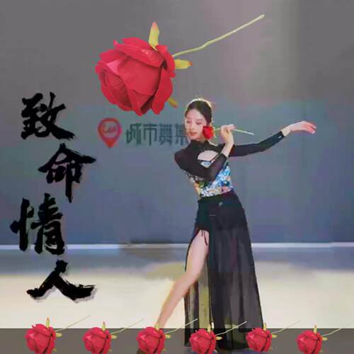 致命情人大红色玫瑰花新疆