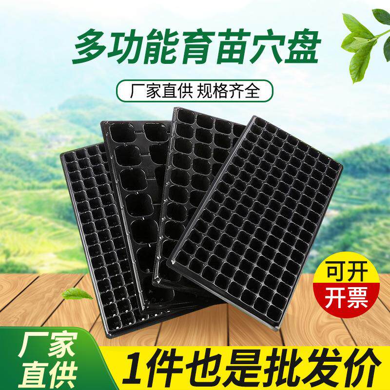园艺育苗盘平盘塑料育苗盒无孔林木穴盘加厚简易育苗容器