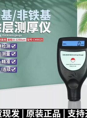 兰泰铁铝两用涂层测厚仪CM8828 镀锌层涂镀层漆膜厚度计可接蓝牙