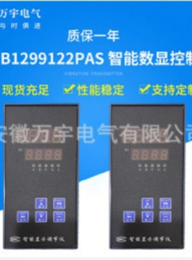 SCRB1299122PAS 智能数显控制仪 竖式