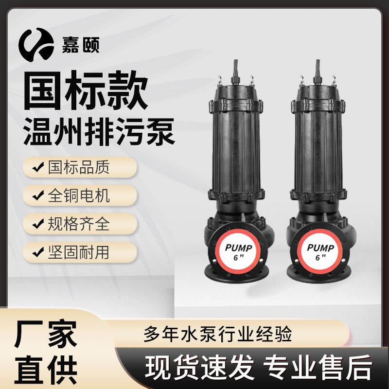 温州款排污泵18.5KW污水泵站专用抽水泵无堵塞污水污物潜水泵