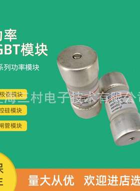 全新熔断器保险丝FR10GR69V4/W1014572 FR10GR69V5/X1014573全新