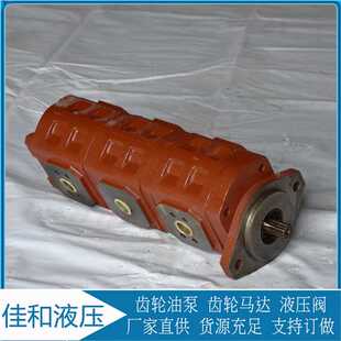 1010000229浦沅25H吊车三联齿轮油泵CBGJ63 1010000007