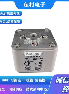 熔断器全新170M5494 170M5495 170M5496 170M5497 170M5498现货
