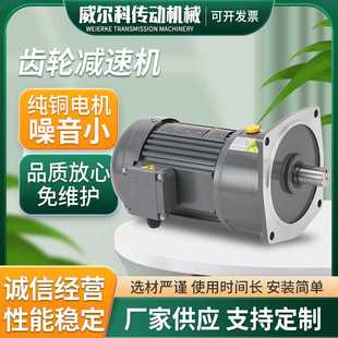 三相齿轮减速机厂家供应100W 减速机 3700W可加装 刹车小金刚晟邦款
