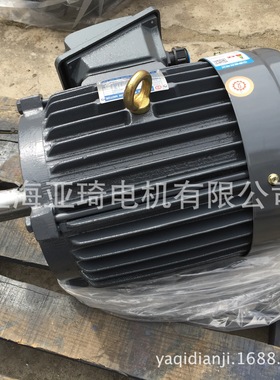 AEEF/AEEP卧式台湾款电动机 台湾电机LIANGCHI