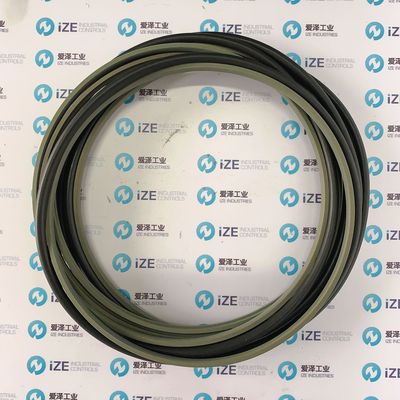 B+S密封圈RSK301600-T46N现货供应爱泽工业