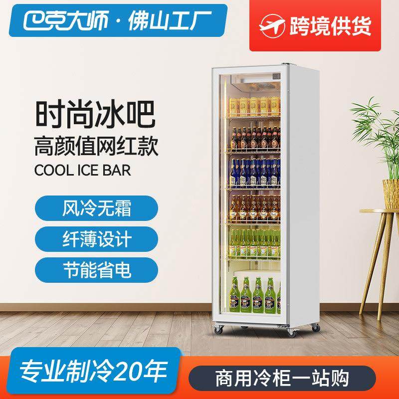 巴克大师网红展示冰柜商用便利店饮料啤酒柜保鲜冷藏柜定制
