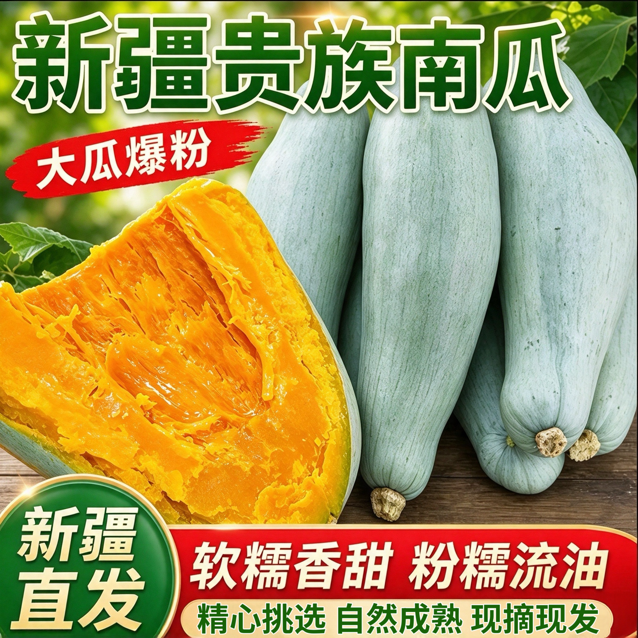 新疆贵族南瓜粉糯香甜板栗味