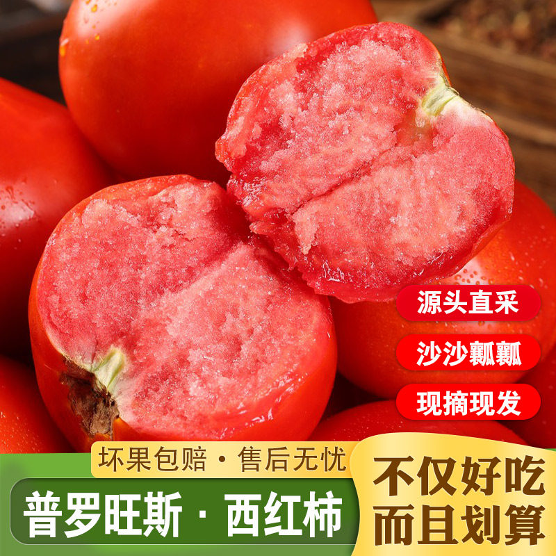 陕西泾阳普罗旺斯西红柿新鲜自然熟水果当季沙瓤西红柿番茄蔬菜,水产肉类/新鲜蔬果/熟食,番茄,淘宝优惠券,粉丝福利购,淘宝优惠卷