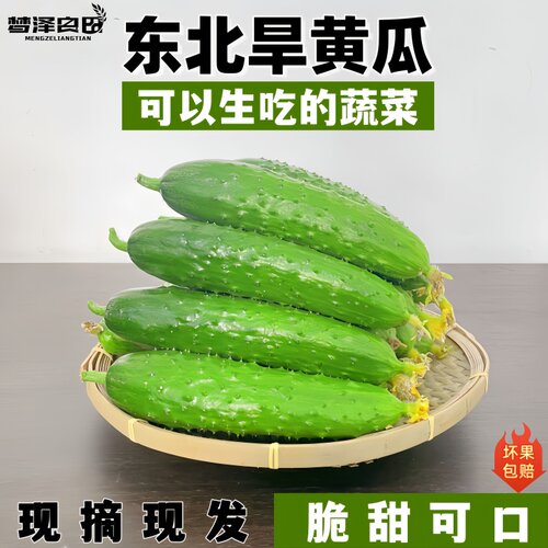 正宗东北旱黄瓜脆甜可口5斤装
