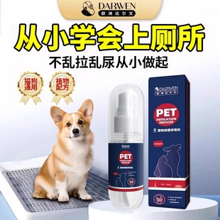 狗狗定点上厕所专研狗定点排便上厕所诱导剂大小便训练