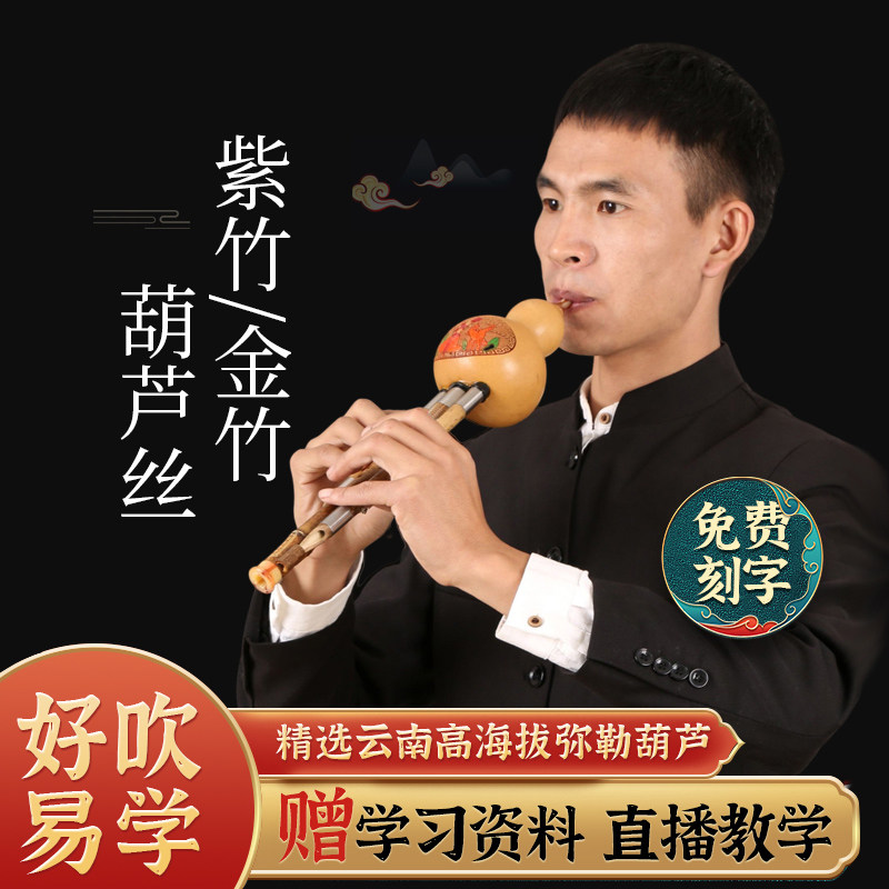 演奏型葫芦丝乐器小学生专用降B调C调DGF调成人乐器紫竹滇南古韵