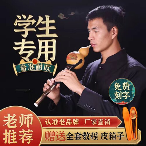 滇南古韵初学葫芦丝小学生专用