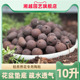 10升湘越园艺陶粒通用鲜花绿植垫疏水透气防止烂根颗粒土多肉园艺
