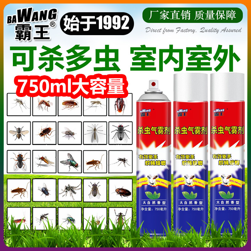 750ml霸王杀虫剂气雾剂室外杀虫剂（卫生农药）