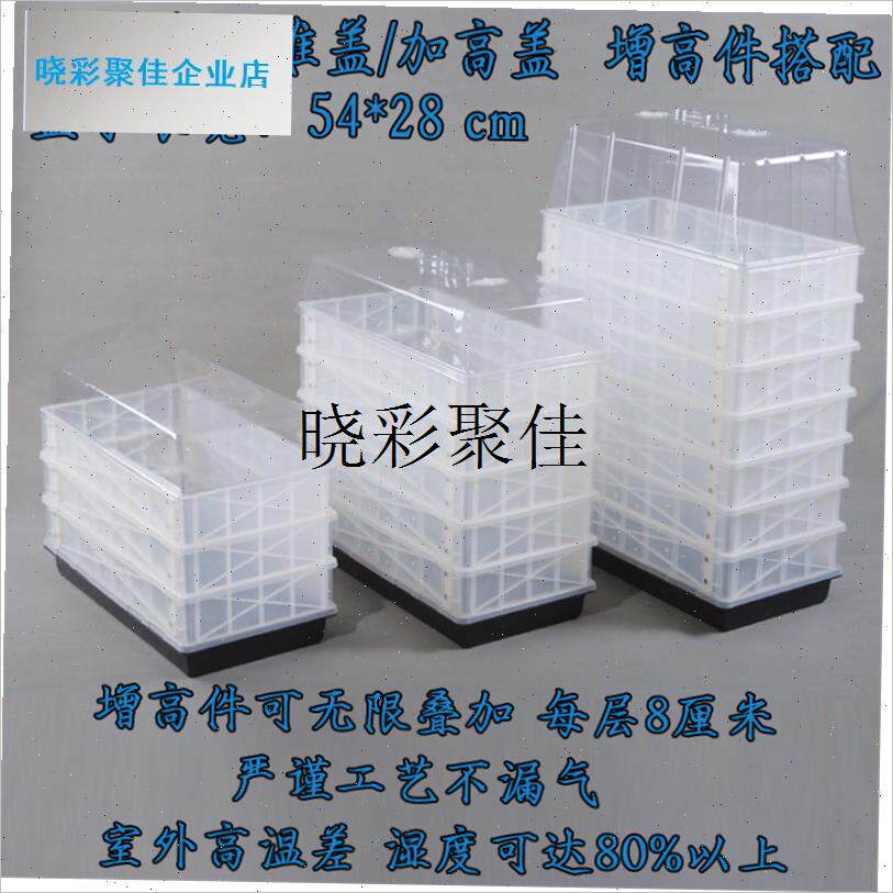 多肉育苗穴盘闷养箱m隔水片平盘十二卷玉露卷柏小温室保温保湿防l