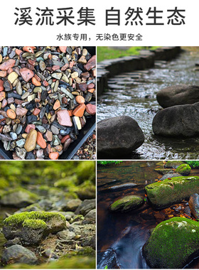 南美鱼缸造景沙红色雨林砂鼠鱼七彩埃及雷龙天然原生态溪流红棕沙