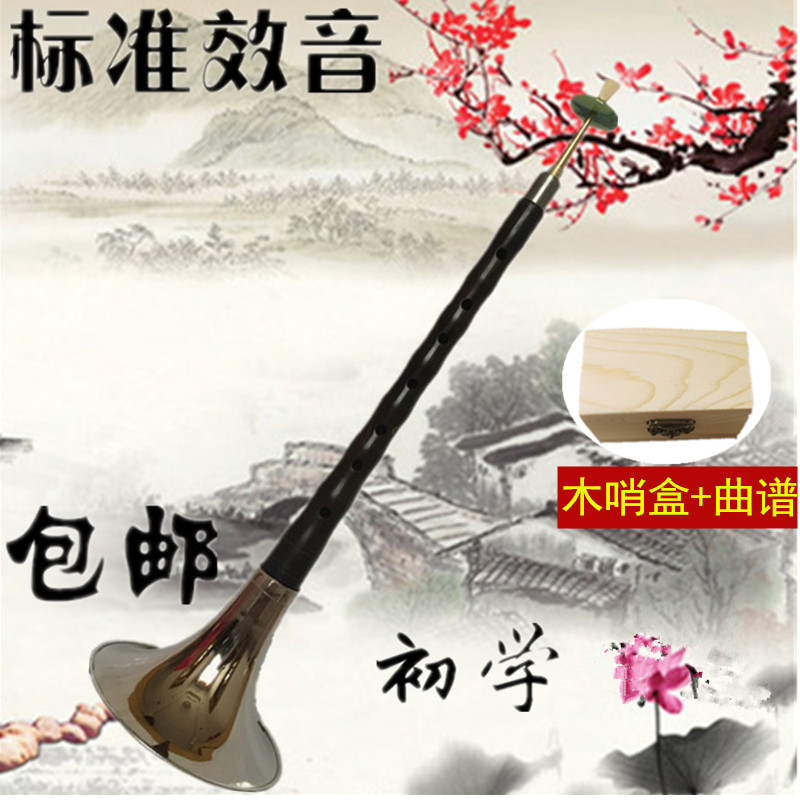 包邮乐器全套 黑檀乌木D唢呐 初学者d调锁呐 送哨盒 芯子
