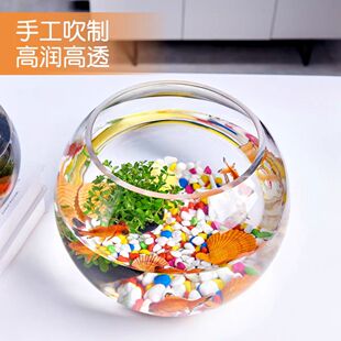 桌面鱼缸小金鱼缸造景观赏鱼专用水草缸透明客厅微景缸