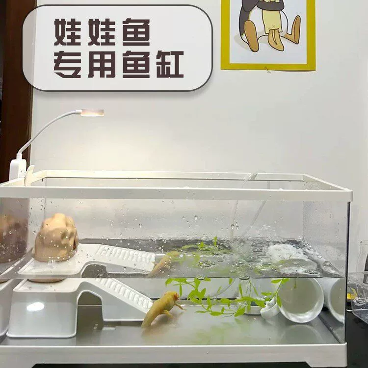 六角恐龙鱼缸带晒台过滤生态造景