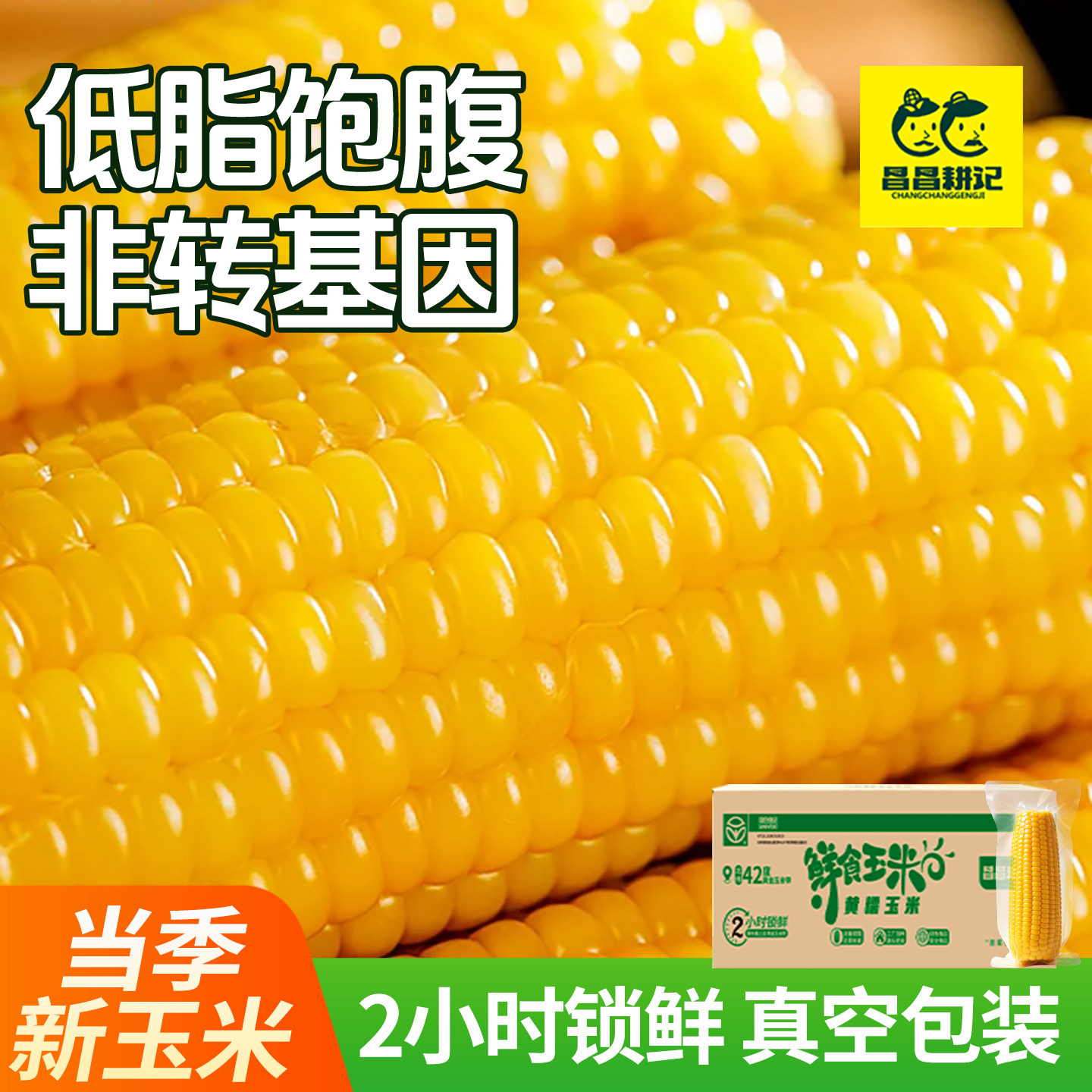昌昌耕记东北黄糯玉米头茬当季新鲜软糯拉丝真空早餐代餐玉米棒