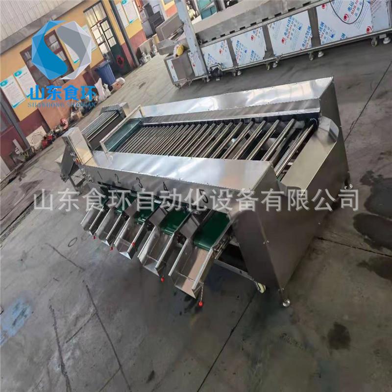 苹果滚杠分级机牛油果柑橘脐橙分选机橙子连续分级机