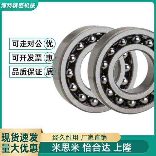 自动调心球轴承 BBU1200 1201 1202 1203 1204 1300 1301 1302
