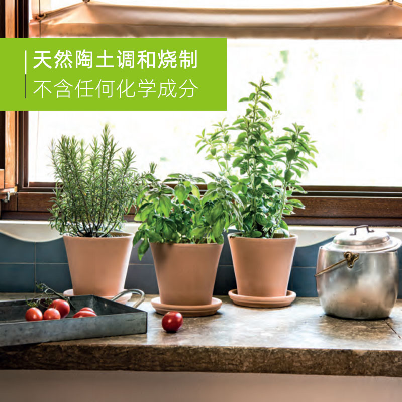 帝罗马红陶白陶摩卡天然陶土花卉绿植国际盆花盆3R科诺白DEROMA