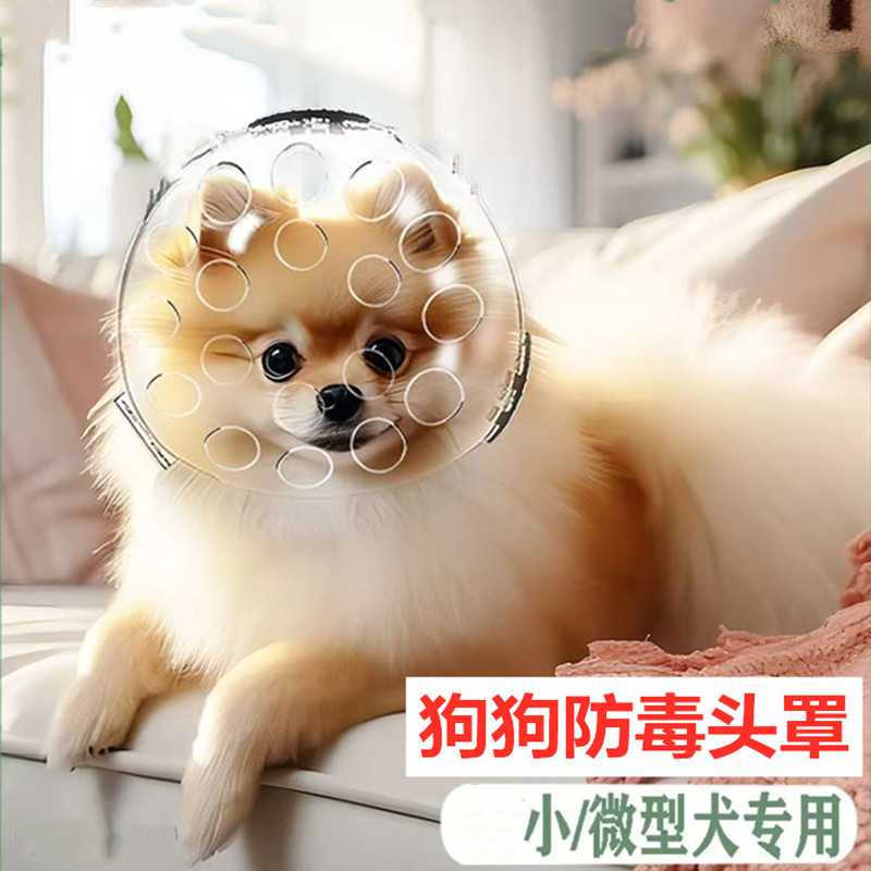 小狗防毒面罩狗狗太空头罩宇航员头套防乱吃宠物嘴罩防舔咬防误食