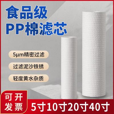 10寸20寸PP棉1微米5μm大胖滤芯40寸精密保安前置过滤器透明瓶用