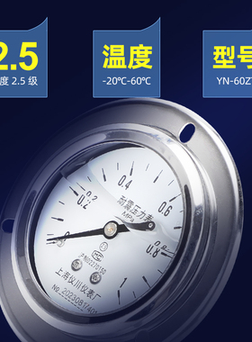 上海仪川仪表厂耐震压力表防抗震充油轴向带边安装YN-60/100/Z/ZT