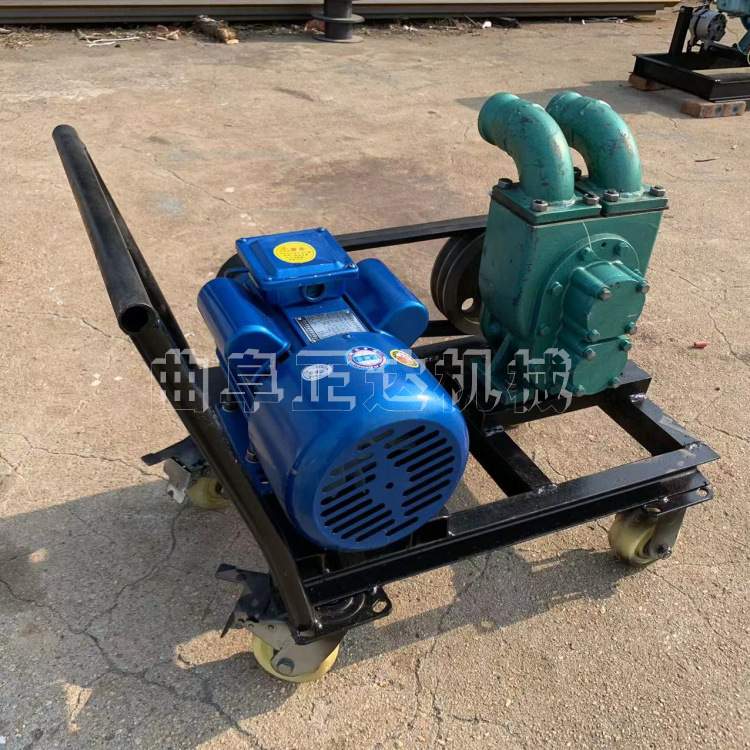 河道清淤排污抽水泵 养殖场用3寸抽粪泵 直吸直排电动4寸抽污泵