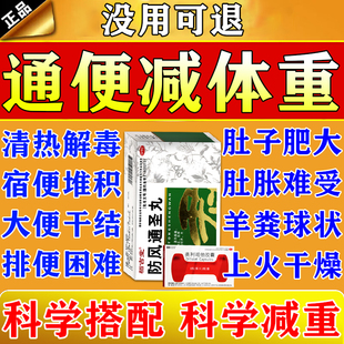 防风通圣丸中成药润肠通便清热上火官方旗舰店通便减肥促代谢