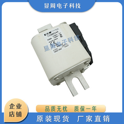 全新保险丝熔断器170M6244 170M6245 170M6246 170M6247 170M6248