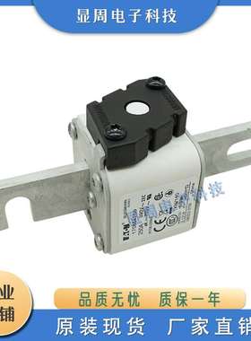 熔断器170M4216 4217 4218 4219 4238 4239 4240 4241 4242 4243