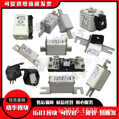 170M5971 170M5972 170M5973 170M5974巴斯曼熔断器现货170M5975