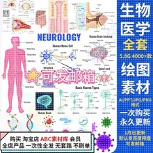 【科研绘图】ppt素材ai模板生物医学可编辑插图细胞流程图通路图