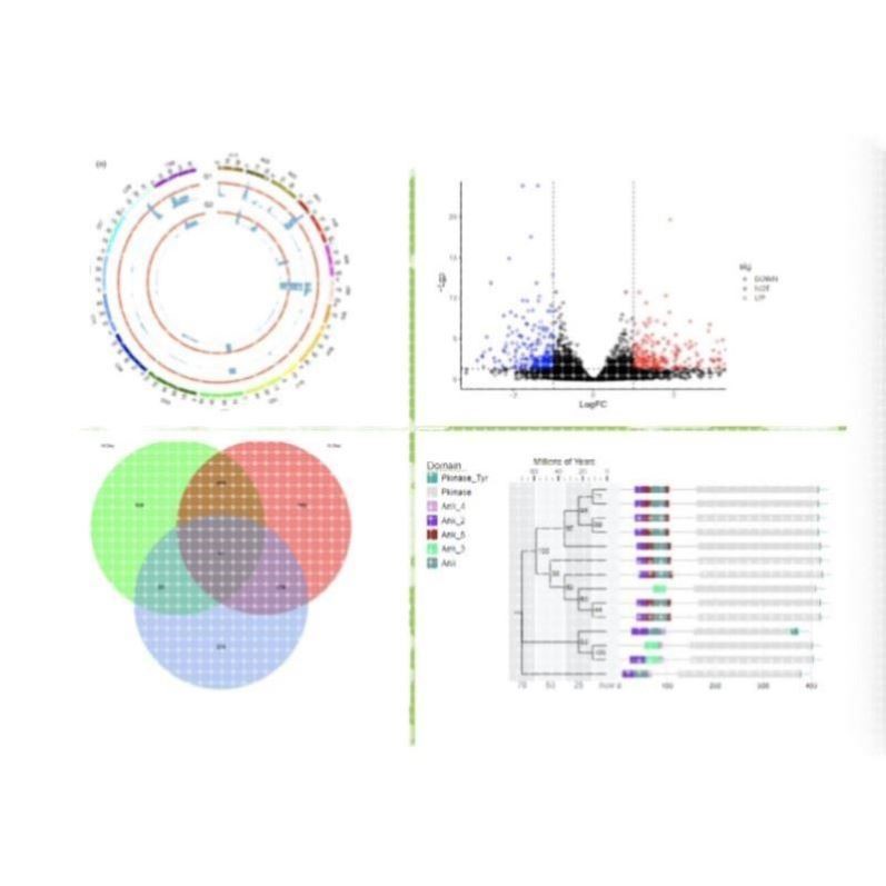 整套生信分析服务多组学联合TCGA GEO公共数据库挖掘单细胞测序