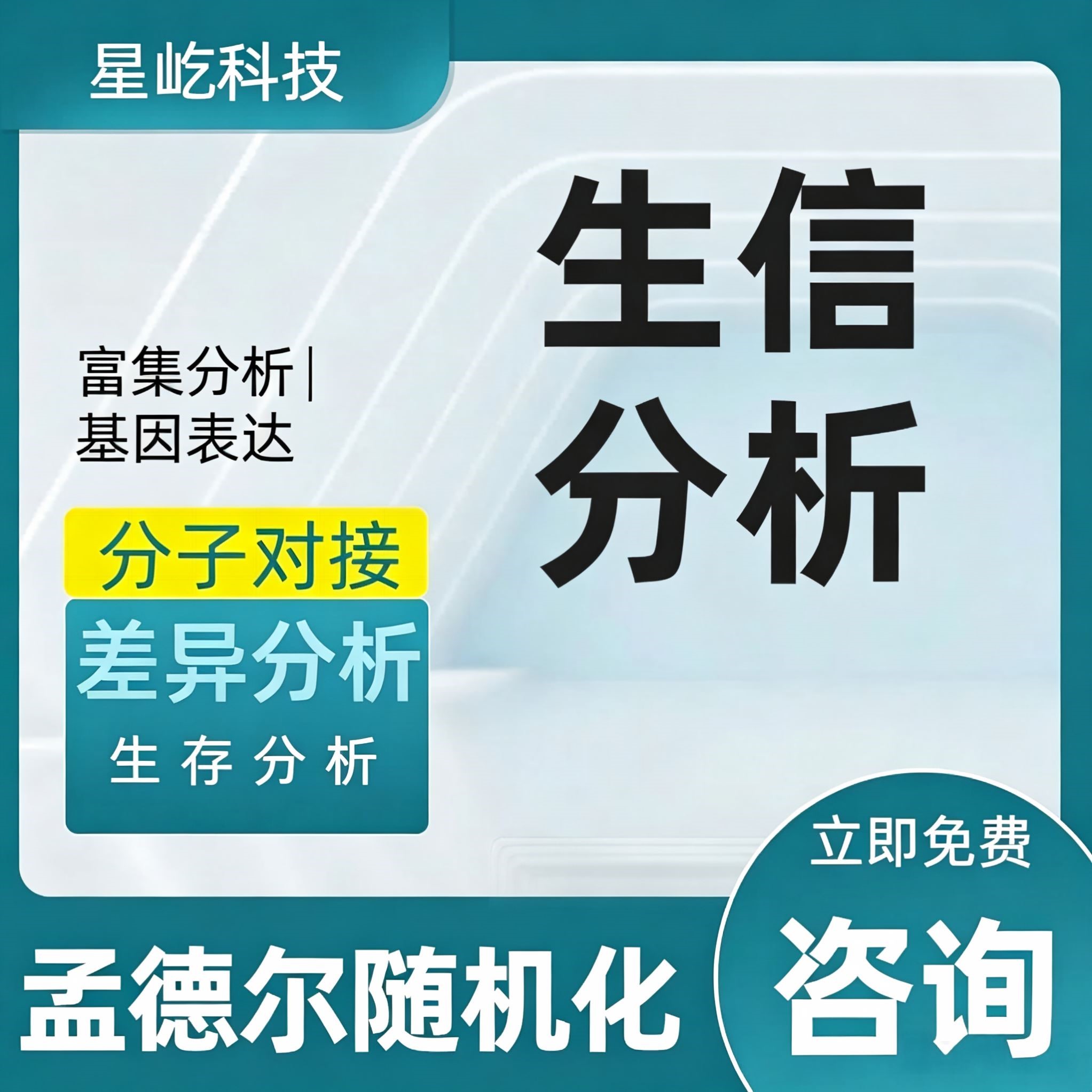 NCBI blast多序列比对共线性分析比较基因组生信16s菌株鉴定服务
