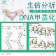 scRNA seq单细胞分析外包服务