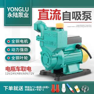 小型自吸泵 永陆直流抽水机家用12v24v48v60v72v抽水泵水井便携式
