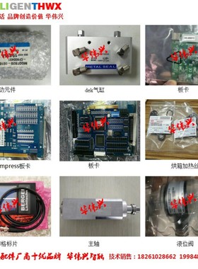 燃烧塔内芯 BACCINI 302814